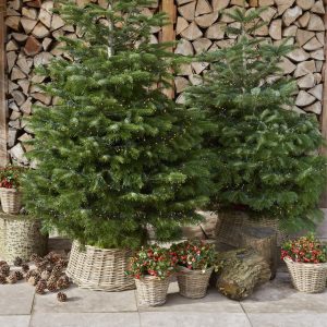 Test product voor afbeeldingen 29/01